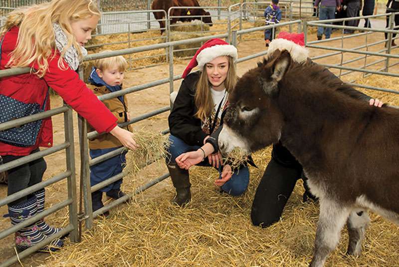 Festive Animal Fun Day - Cranleigh Magazine