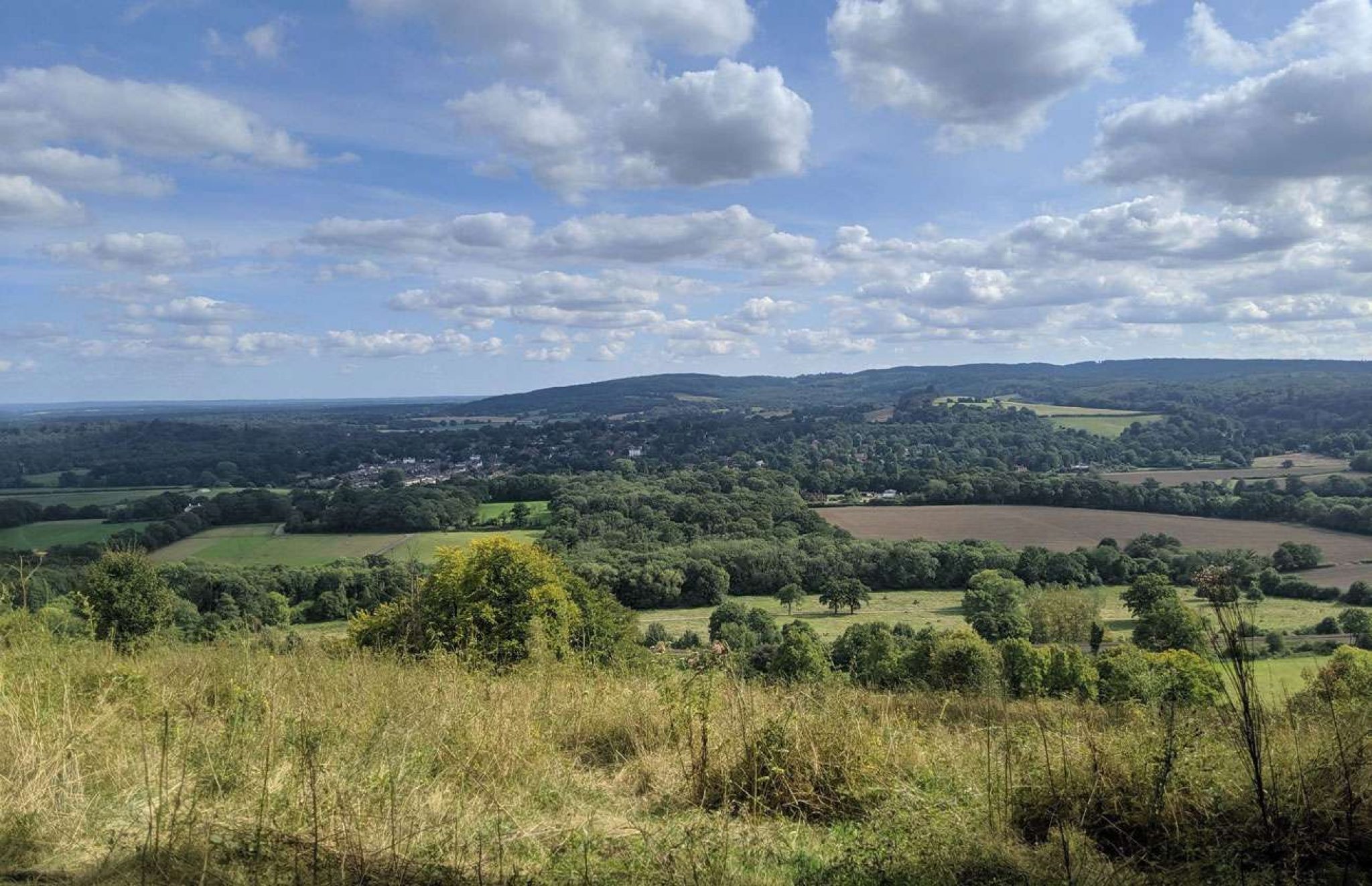 Counting Steps - Ranmore Circular - AllTrails - Cranleigh Magazine