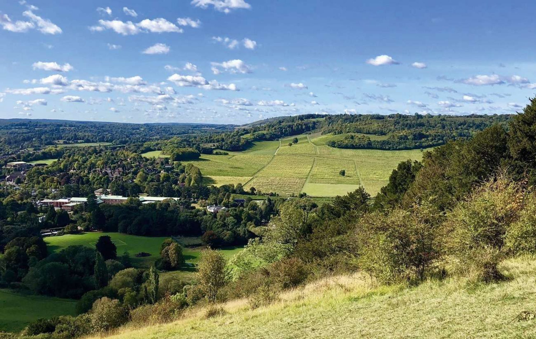 Counting Steps - Box Hill Stepping Stones Walk - AllTrails - Cranleigh ...